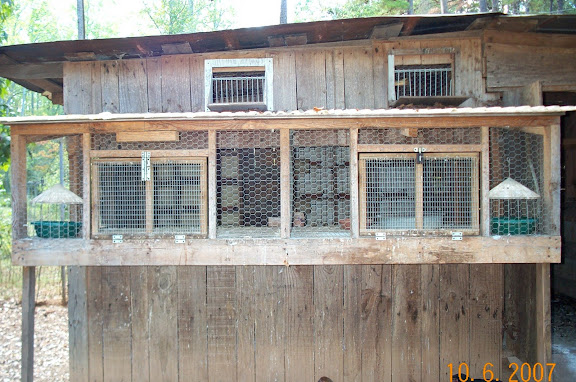pigeon%20lofts%20003.jpg