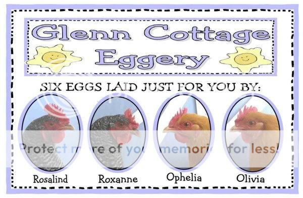LabelforEggCartonEmail-1.jpg