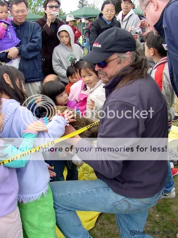 missO_kitefest2.jpg