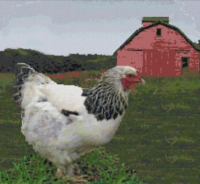 farm2Small.jpg