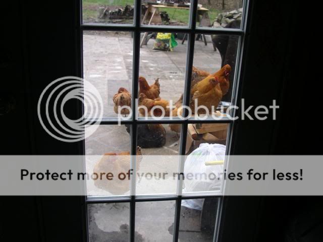 Picture001Small-4.jpg