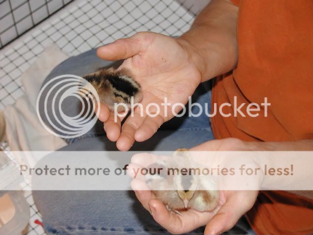 May2008106-1.jpg