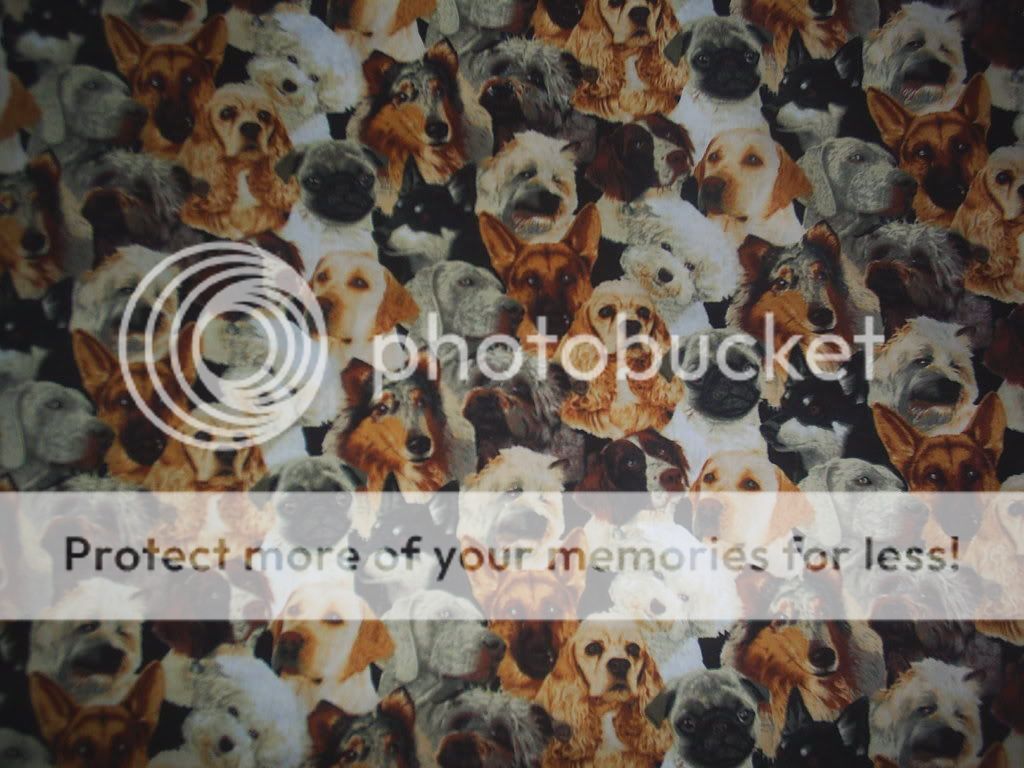 MultiDogPrint.jpg