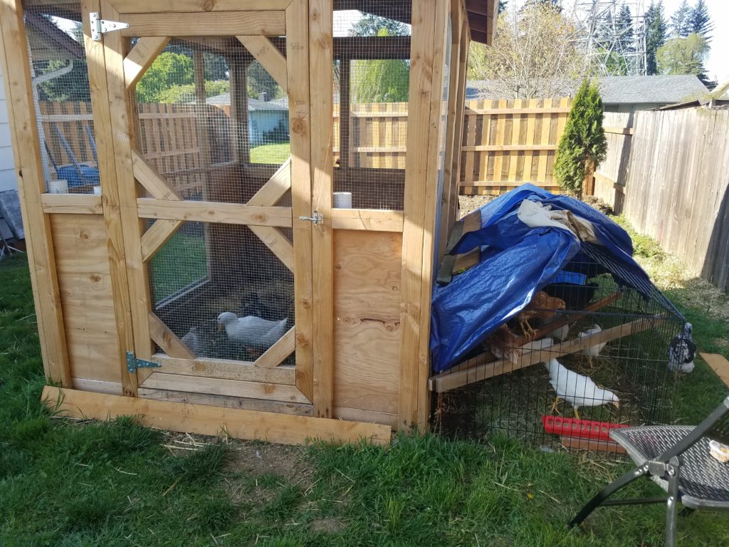 20190424_172150-1024x768.jpg