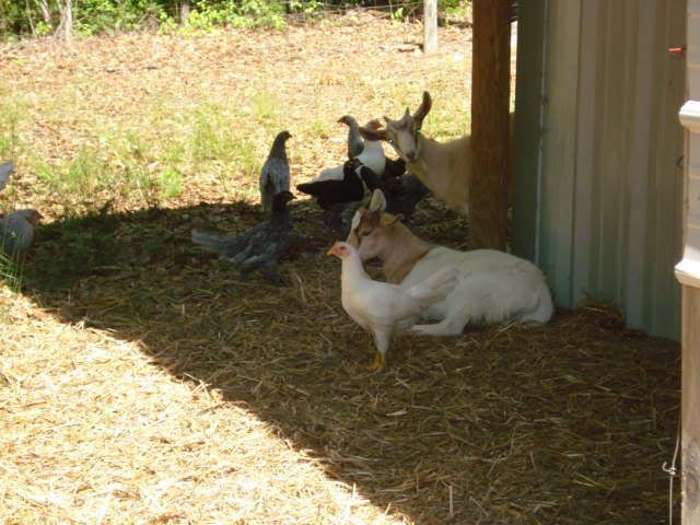 DSC00880.jpg