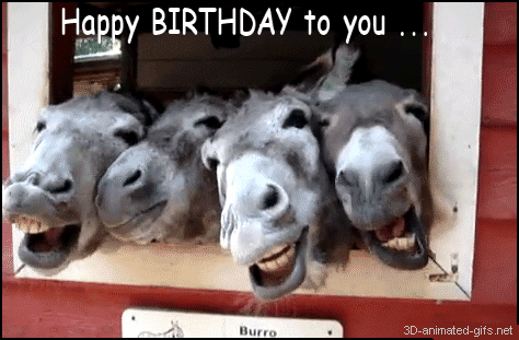611ae54fde7fcb4a5ad014b6a3412798.gif