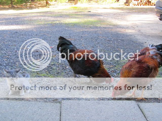 IMG_2886.jpg