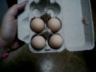 eggsincarton.jpg