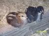 100_1710.jpg