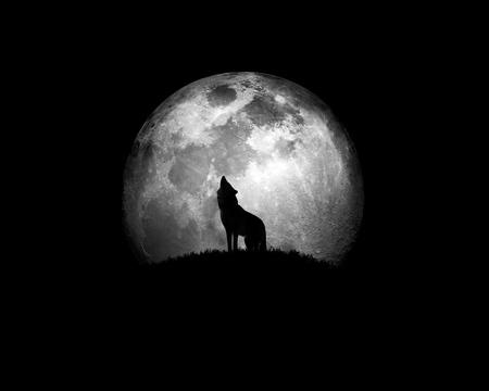 wolf-howling-at-the-moon.jpg