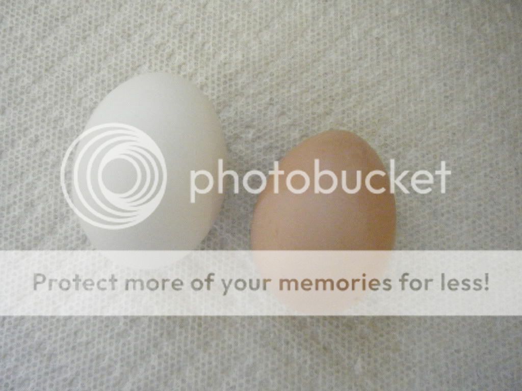 DSCF5363.jpg
