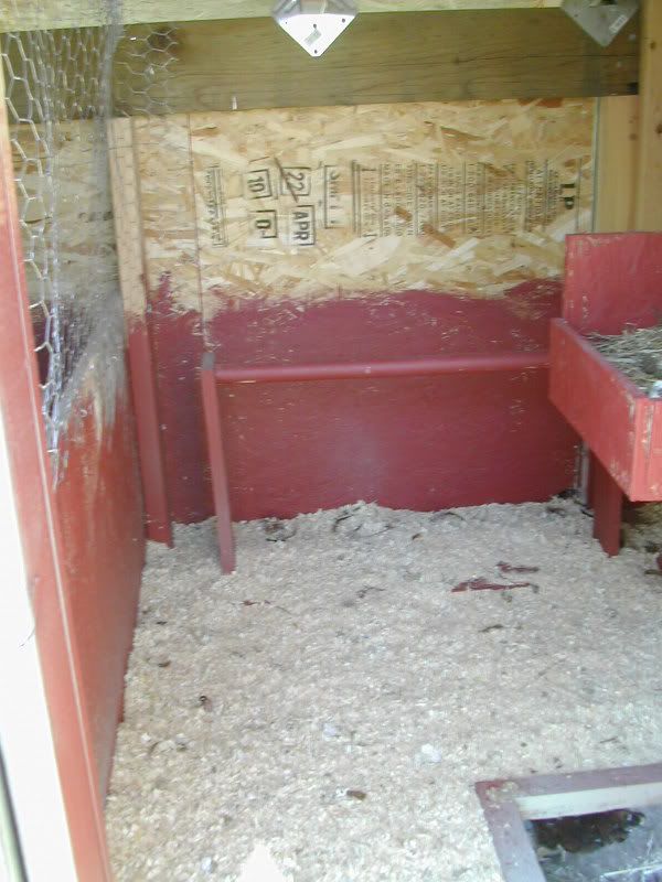 DSCN5339.jpg