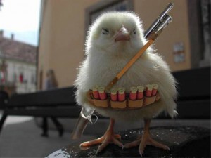 warrior-chicken-300x225.jpg