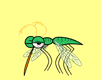 animated-gifs-insects-059.gif