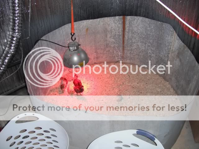 DSCF9381.jpg