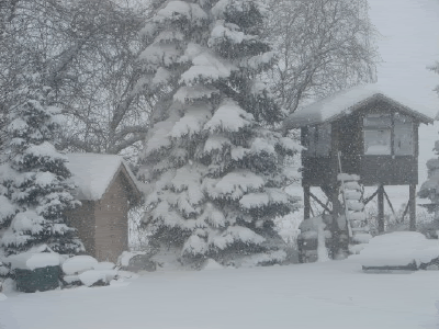 snow2a.gif