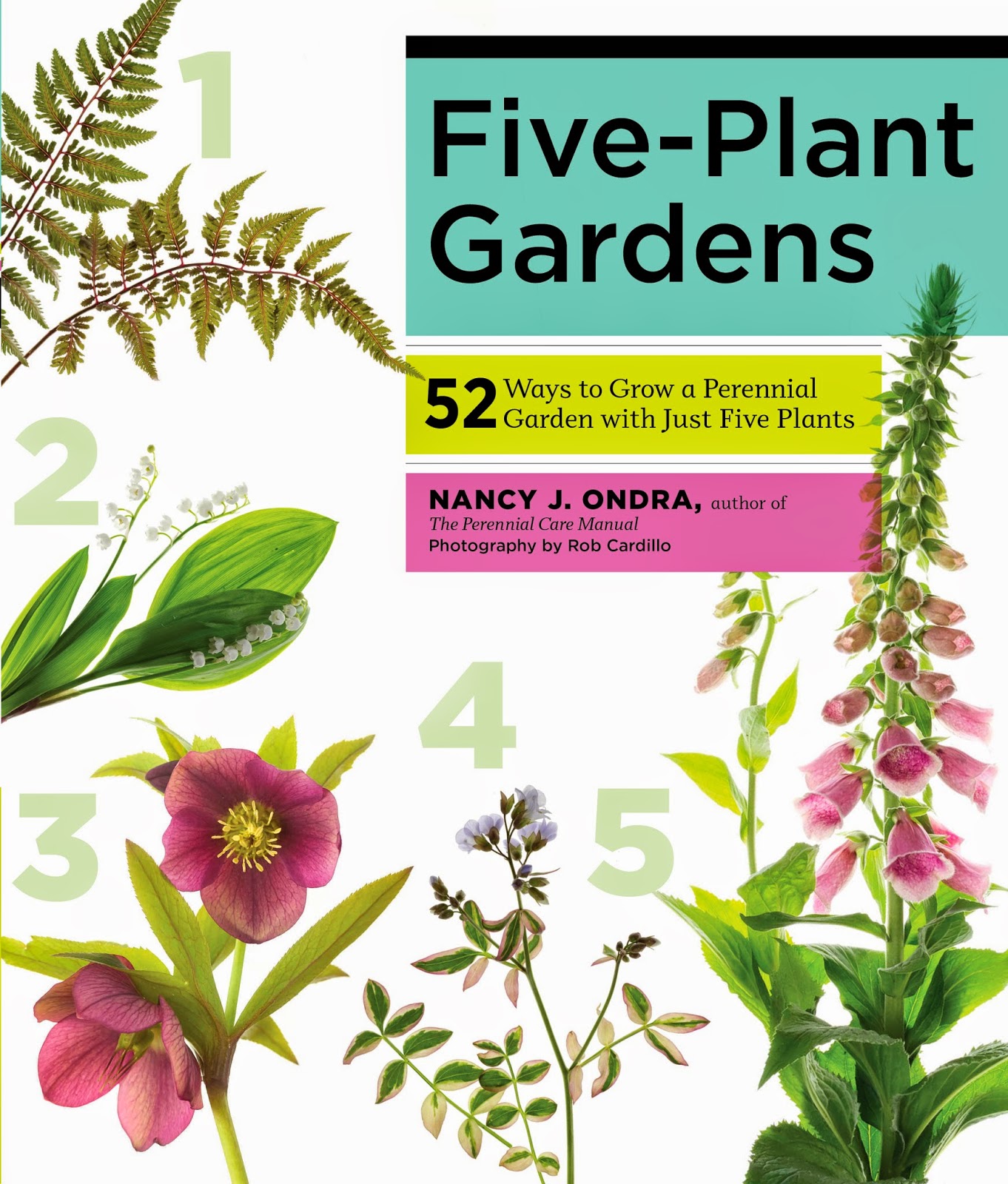 FivePlanGardens.jpg