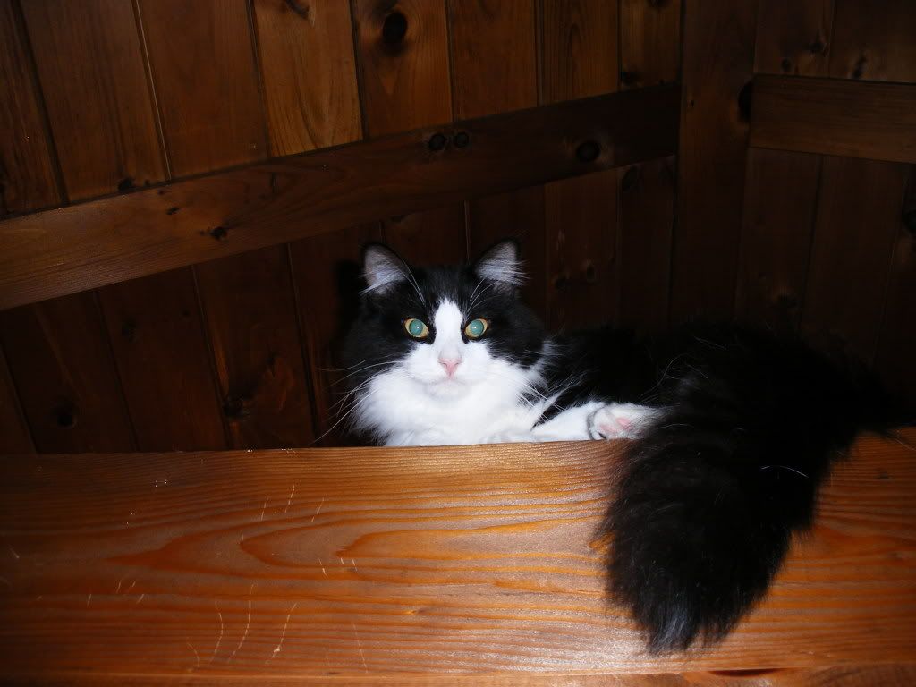 2008_08150028.jpg