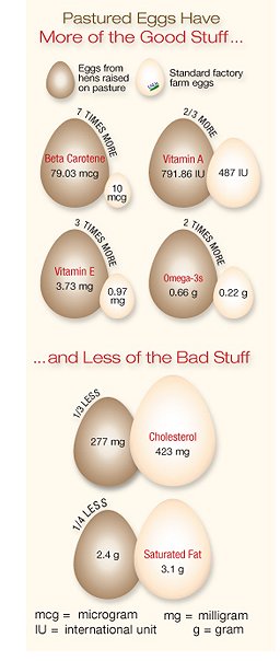 eggchart.jpg