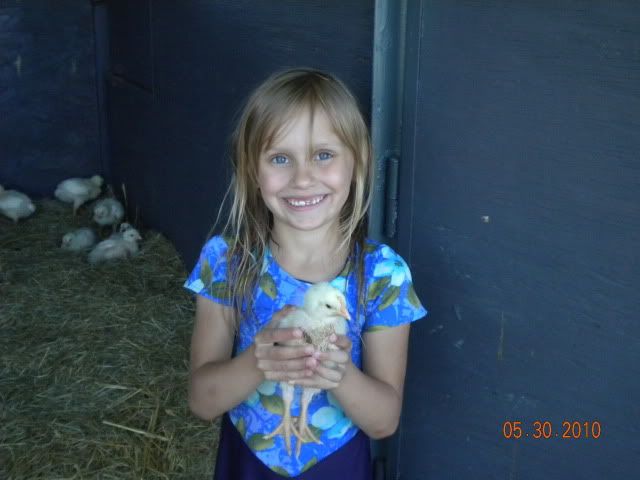 Chicks2010002.jpg