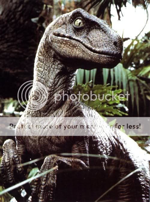 raptor.jpg
