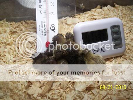 100_5791.jpg