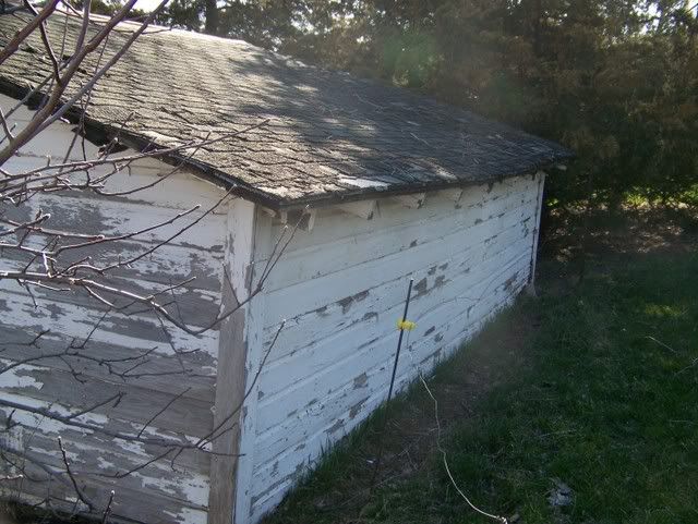 100_5064.jpg