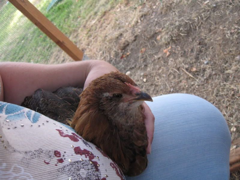 August18th2011012.jpg