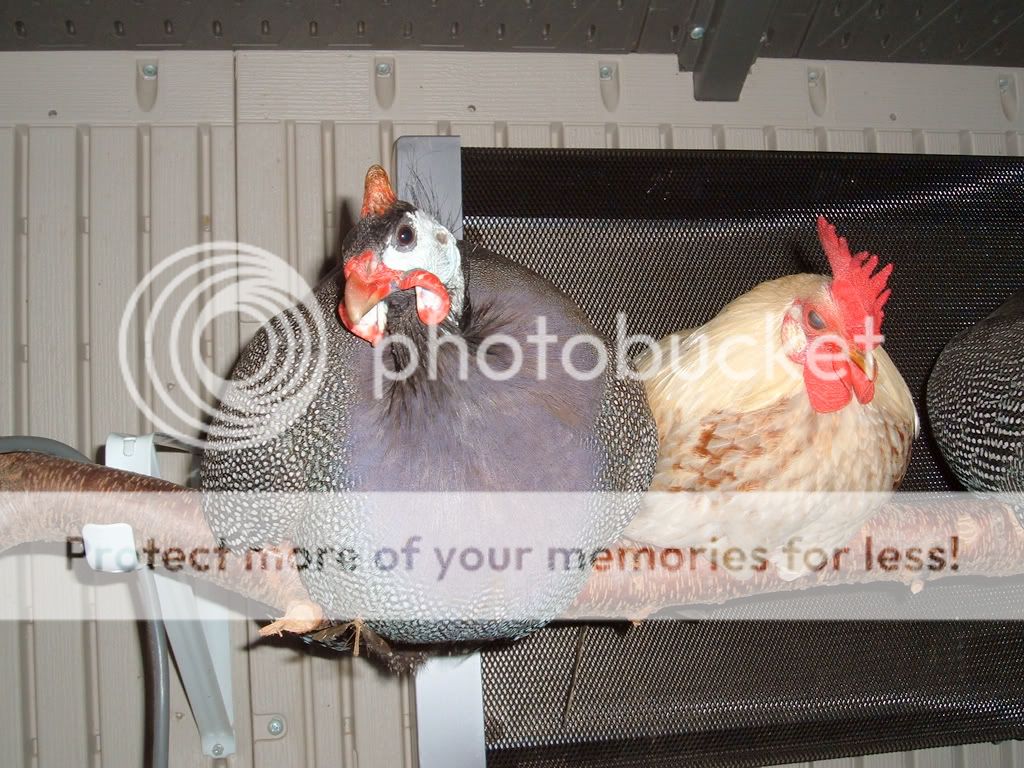DSCF6872.jpg
