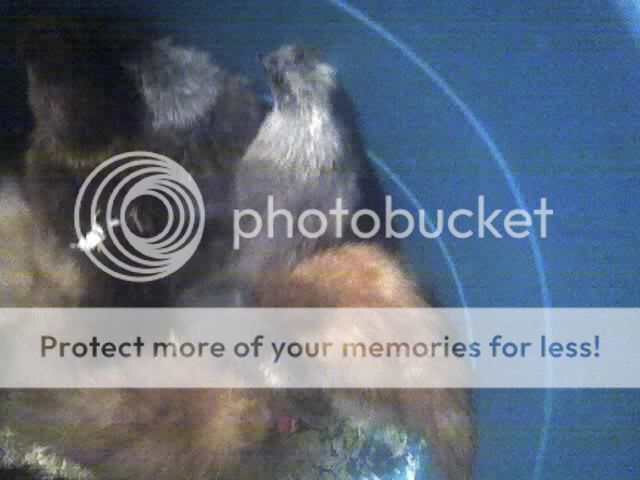 07-31-08_2150.jpg