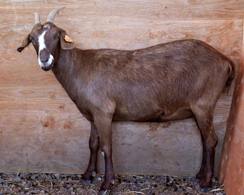 E945.jpg