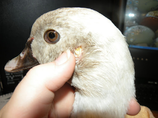 DSCN5598.JPG