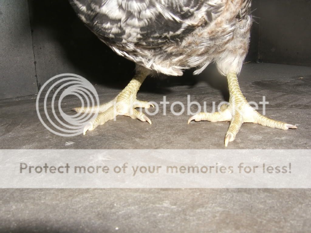 DSCF6961.jpg