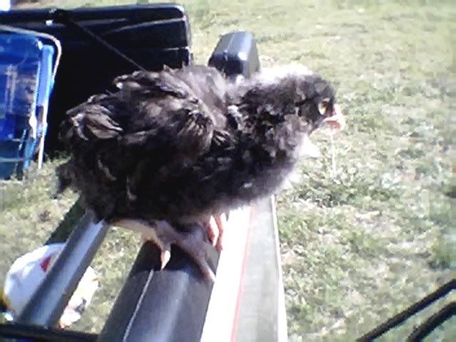 Photo008.jpg