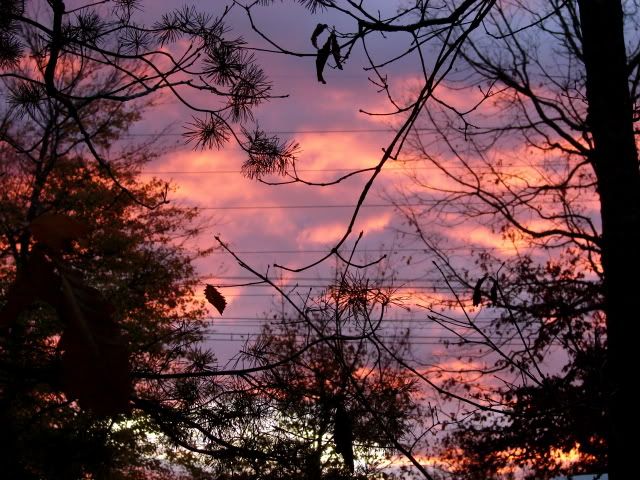 DSC02910.jpg