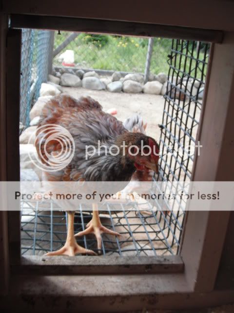 DSCF3933.jpg