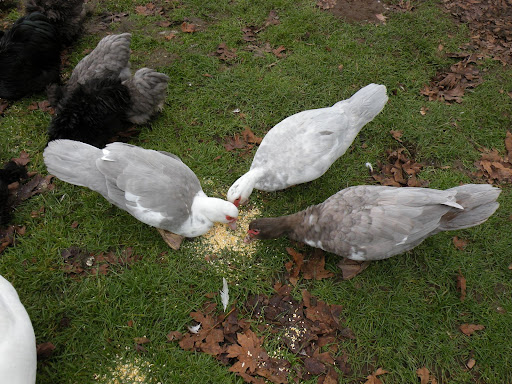 DSCN5408.JPG