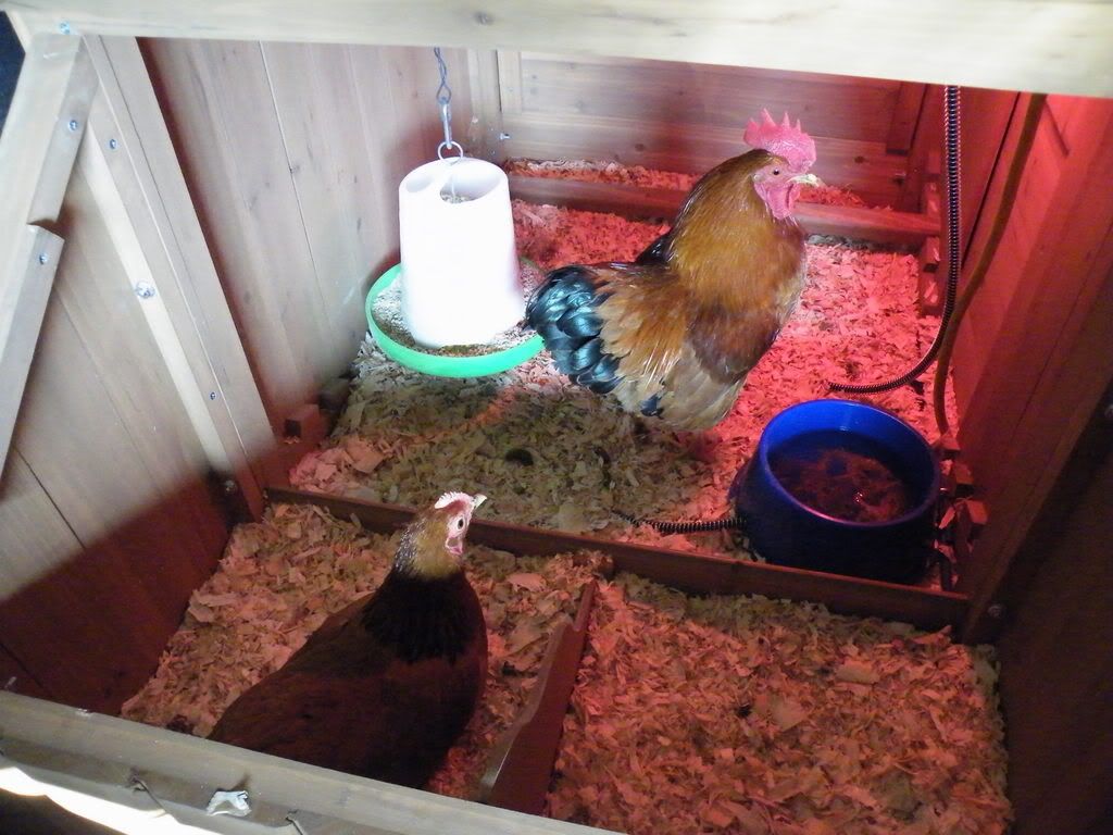 DSCF5373.jpg