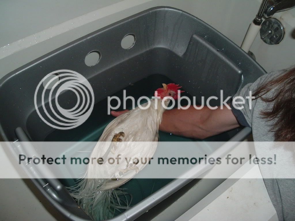 KidRockBath207.jpg