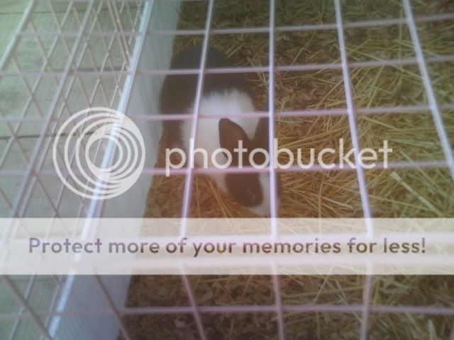 Picture096.jpg