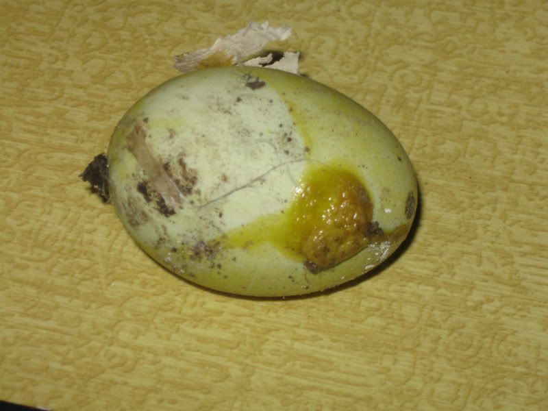 December27th2011006.jpg