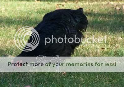 SiriusBlack11-14-10.jpg