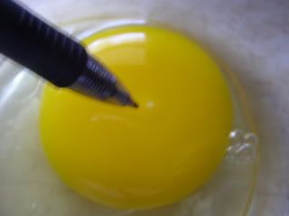 P1010027.jpg