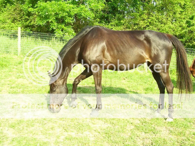 Lady5-6-08004.jpg
