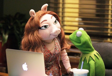 1441203998_kermit-the-frog-denise-zoom.jpg