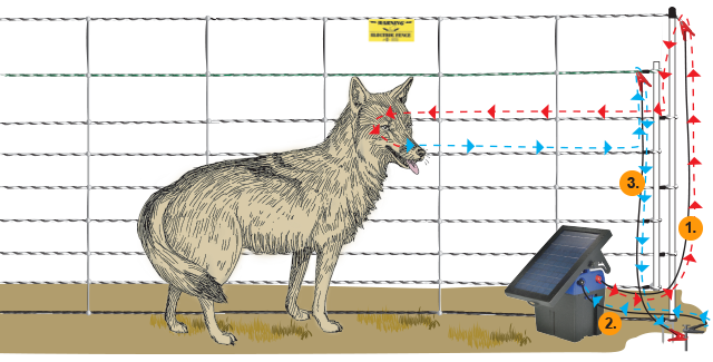 pos-neg-net-diagram-2.png