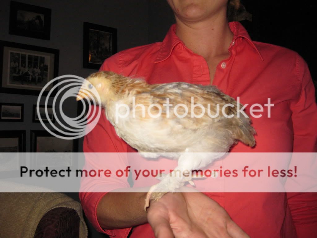 IMG_3174.jpg