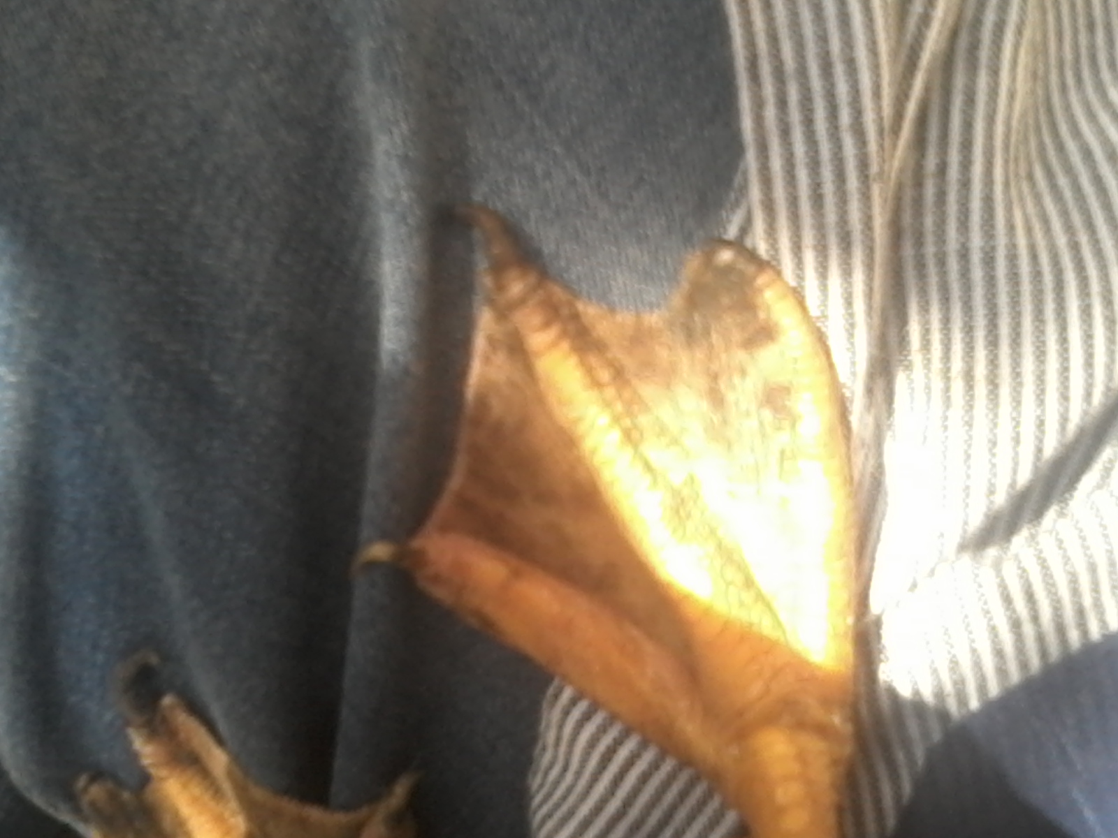 20180901_112719.jpg