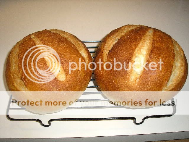 Boules002.jpg