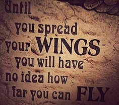 0c4154d024753ca7ba80a7d230c52632--airplane-room-wing-quotes.jpg